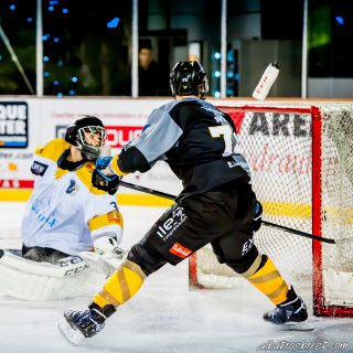 ALBATROS DE BREST VS LES ELEPHANTS DE CHAMBERY 15/12/18 - © Marion BESCOND