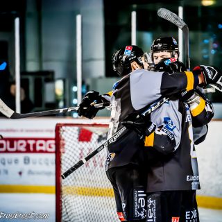 ALBATROS DE BREST VS LES ELEPHANTS DE CHAMBERY 15/12/18 - © Marion BESCOND
