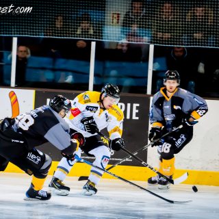 ALBATROS DE BREST VS LES ELEPHANTS DE CHAMBERY 15/12/18 - © Marion BESCOND