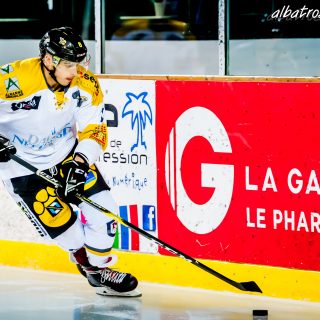 ALBATROS DE BREST VS LES ELEPHANTS DE CHAMBERY 15/12/18 - © Marion BESCOND