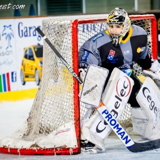 ALBATROS DE BREST VS LES ELEPHANTS DE CHAMBERY 15/12/18 - © Marion BESCOND