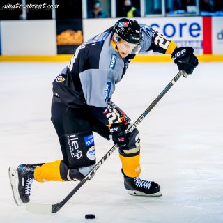ALBATROS DE BREST VS LES ELEPHANTS DE CHAMBERY 15/12/18 - © Marion BESCOND