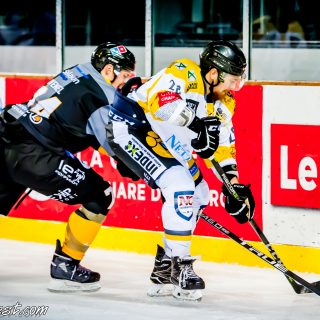 ALBATROS DE BREST VS LES ELEPHANTS DE CHAMBERY 15/12/18 - © Marion BESCOND