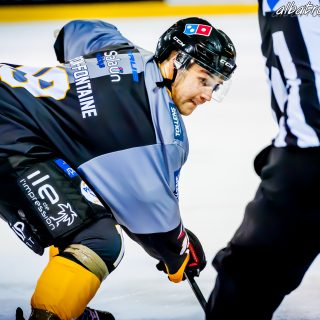 ALBATROS DE BREST VS LES ELEPHANTS DE CHAMBERY 15/12/18 - © Marion BESCOND