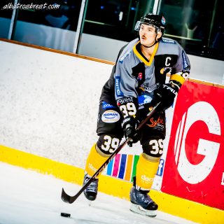 ALBATROS DE BREST VS LES ELEPHANTS DE CHAMBERY 15/12/18 - © Marion BESCOND