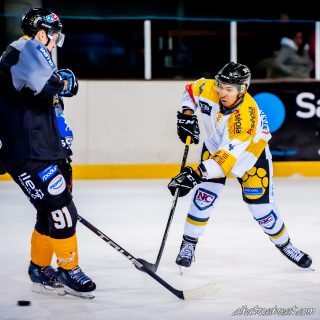 ALBATROS DE BREST VS LES ELEPHANTS DE CHAMBERY 15/12/18 - © Marion BESCOND