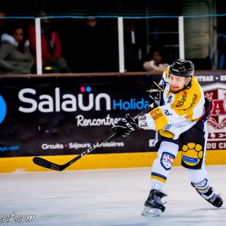 ALBATROS DE BREST VS LES ELEPHANTS DE CHAMBERY 15/12/18 - © Marion BESCOND