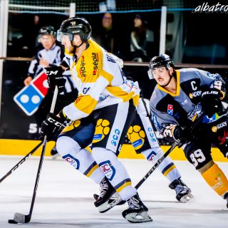 ALBATROS DE BREST VS LES ELEPHANTS DE CHAMBERY 15/12/18 - © Marion BESCOND