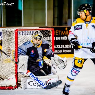 ALBATROS DE BREST VS LES ELEPHANTS DE CHAMBERY 15/12/18 - © Marion BESCOND