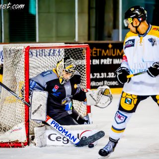 ALBATROS DE BREST VS LES ELEPHANTS DE CHAMBERY 15/12/18 - © Marion BESCOND