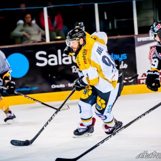 ALBATROS DE BREST VS LES ELEPHANTS DE CHAMBERY 15/12/18 - © Marion BESCOND