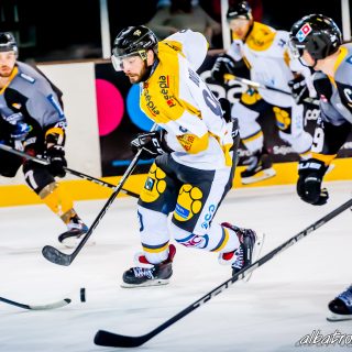 ALBATROS DE BREST VS LES ELEPHANTS DE CHAMBERY 15/12/18 - © Marion BESCOND