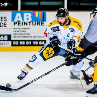 ALBATROS DE BREST VS LES ELEPHANTS DE CHAMBERY 15/12/18 - © Marion BESCOND