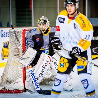 ALBATROS DE BREST VS LES ELEPHANTS DE CHAMBERY 15/12/18 - © Marion BESCOND