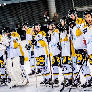 ALBATROS DE BREST VS LES ELEPHANTS DE CHAMBERY 15/12/18 - © Marion BESCOND