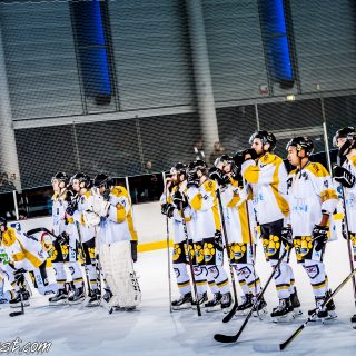 ALBATROS DE BREST VS LES ELEPHANTS DE CHAMBERY 15/12/18 - © Marion BESCOND