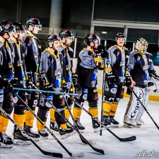ALBATROS DE BREST VS LES ELEPHANTS DE CHAMBERY 15/12/18 - © Marion BESCOND