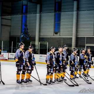ALBATROS DE BREST VS LES ELEPHANTS DE CHAMBERY 15/12/18 - © Marion BESCOND