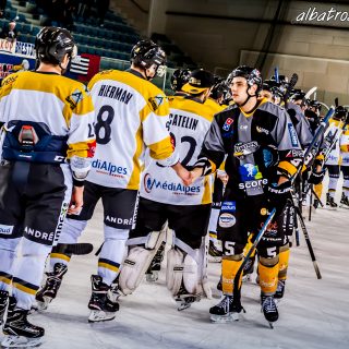 ALBATROS DE BREST VS LES ELEPHANTS DE CHAMBERY 15/12/18 - © Marion BESCOND