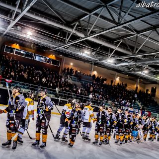 ALBATROS DE BREST VS LES ELEPHANTS DE CHAMBERY 15/12/18 - © Marion BESCOND