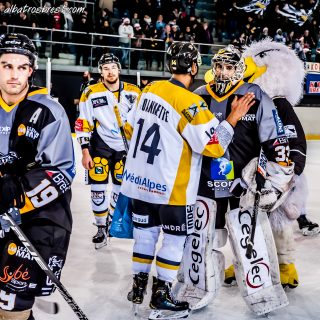 ALBATROS DE BREST VS LES ELEPHANTS DE CHAMBERY 15/12/18 - © Marion BESCOND