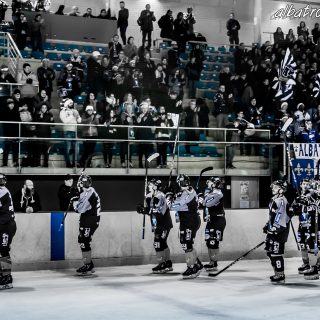 ALBATROS DE BREST VS LES ELEPHANTS DE CHAMBERY 15/12/18 - © Marion BESCOND
