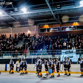 ALBATROS DE BREST VS LES ELEPHANTS DE CHAMBERY 15/12/18 - © Marion BESCOND