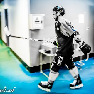 ALBATROS DE BREST VS LES ELEPHANTS DE CHAMBERY 15/12/18 - © Marion BESCOND