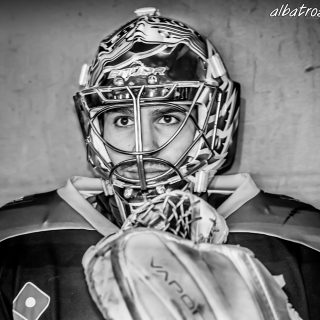 ALBATROS DE BREST VS LES BISONS DE NEUILLY SUR MARNE 05/01/2019 - © Marion BESCOND