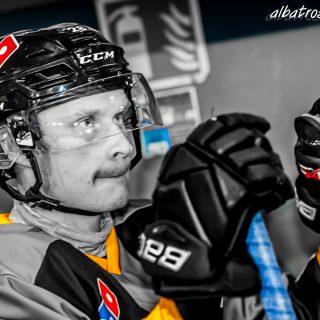 ALBATROS DE BREST VS LES BISONS DE NEUILLY SUR MARNE 05/01/2019 - © Marion BESCOND