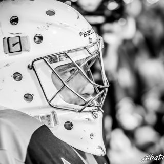 ALBATROS DE BREST VS LES BISONS DE NEUILLY SUR MARNE 05/01/2019 - © Marion BESCOND