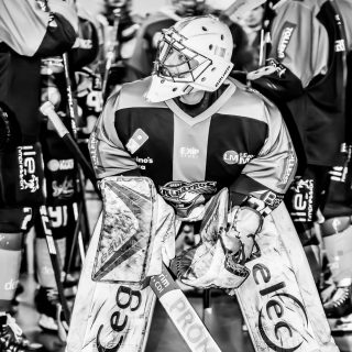 ALBATROS DE BREST VS LES BISONS DE NEUILLY SUR MARNE 05/01/2019 - © Marion BESCOND