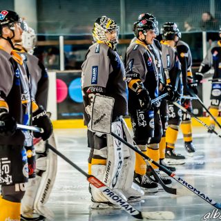 ALBATROS DE BREST VS LES BISONS DE NEUILLY SUR MARNE 05/01/2019 - © Marion BESCOND