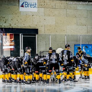 ALBATROS DE BREST VS LES BISONS DE NEUILLY SUR MARNE 05/01/2019 - © Marion BESCOND