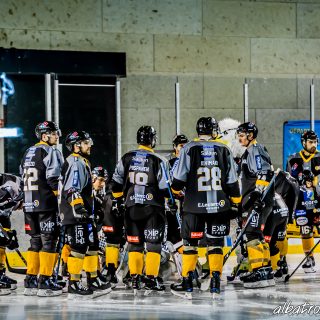 ALBATROS DE BREST VS LES BISONS DE NEUILLY SUR MARNE 05/01/2019 - © Marion BESCOND