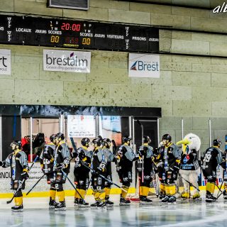 ALBATROS DE BREST VS LES BISONS DE NEUILLY SUR MARNE 05/01/2019 - © Marion BESCOND