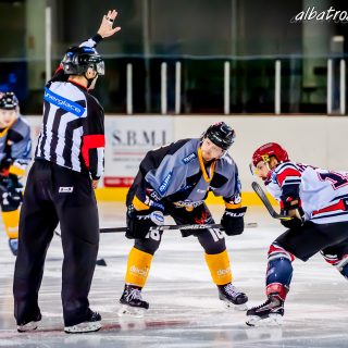 ALBATROS DE BREST VS LES BISONS DE NEUILLY SUR MARNE 05/01/2019 - © Marion BESCOND