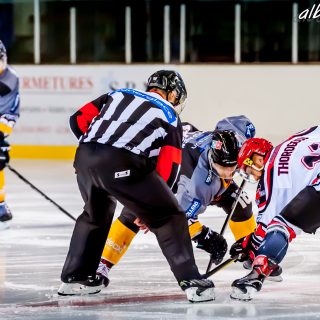 ALBATROS DE BREST VS LES BISONS DE NEUILLY SUR MARNE 05/01/2019 - © Marion BESCOND