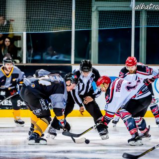 ALBATROS DE BREST VS LES BISONS DE NEUILLY SUR MARNE 05/01/2019 - © Marion BESCOND