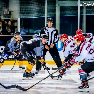 ALBATROS DE BREST VS LES BISONS DE NEUILLY SUR MARNE 05/01/2019 - © Marion BESCOND