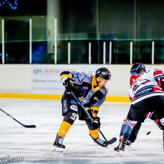 ALBATROS DE BREST VS LES BISONS DE NEUILLY SUR MARNE 05/01/2019 - © Marion BESCOND