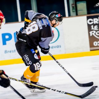 ALBATROS DE BREST VS LES BISONS DE NEUILLY SUR MARNE 05/01/2019 - © Marion BESCOND