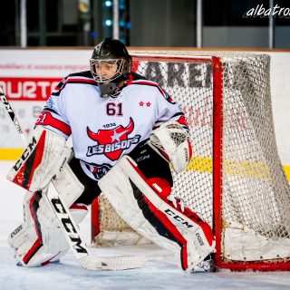 ALBATROS DE BREST VS LES BISONS DE NEUILLY SUR MARNE 05/01/2019 - © Marion BESCOND