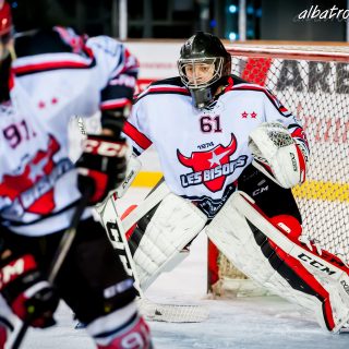 ALBATROS DE BREST VS LES BISONS DE NEUILLY SUR MARNE 05/01/2019 - © Marion BESCOND