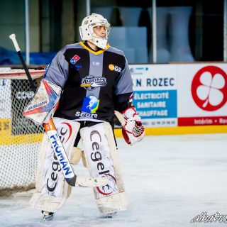ALBATROS DE BREST VS LES BISONS DE NEUILLY SUR MARNE 05/01/2019 - © Marion BESCOND