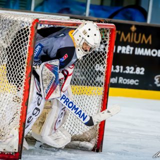ALBATROS DE BREST VS LES BISONS DE NEUILLY SUR MARNE 05/01/2019 - © Marion BESCOND