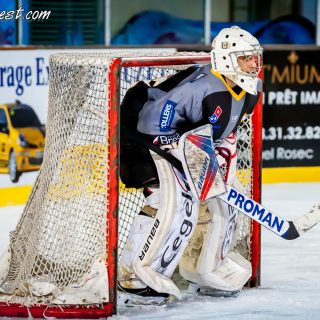 ALBATROS DE BREST VS LES BISONS DE NEUILLY SUR MARNE 05/01/2019 - © Marion BESCOND