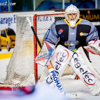 ALBATROS DE BREST VS LES BISONS DE NEUILLY SUR MARNE 05/01/2019 - © Marion BESCOND