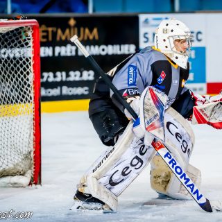 ALBATROS DE BREST VS LES BISONS DE NEUILLY SUR MARNE 05/01/2019 - © Marion BESCOND