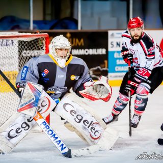 ALBATROS DE BREST VS LES BISONS DE NEUILLY SUR MARNE 05/01/2019 - © Marion BESCOND